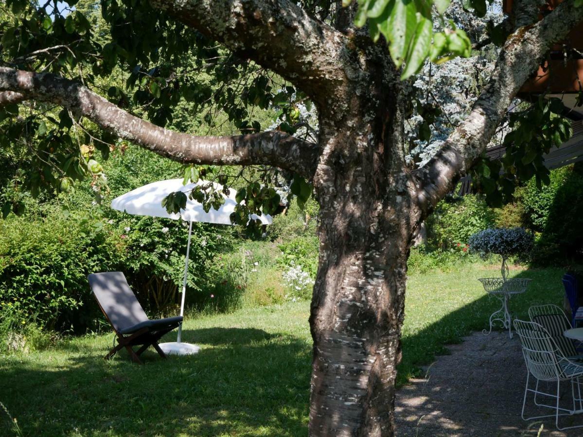 Haus Vita Ferien- Und Seminarhaus Urberg Dış mekan fotoğraf